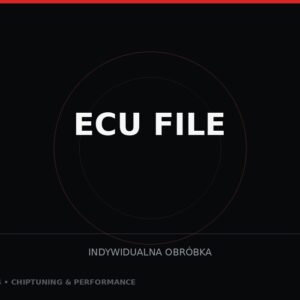 Indywidualna modyfikacja pliku ECU