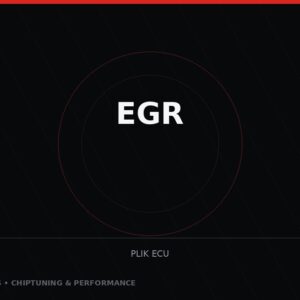 EGR — obróbka pliku ECU