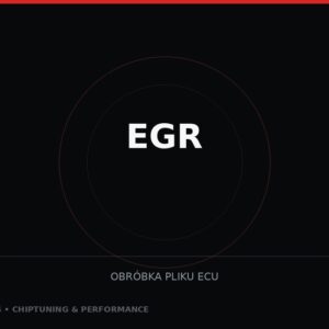 EGR — obróbka pliku ECU