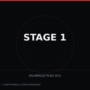 Stage 1 — obróbka pliku ECU