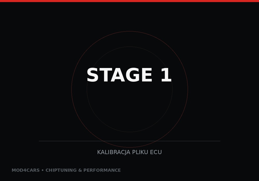 Stage 1 — obróbka pliku ECU