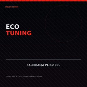 Eco tuning — obróbka pliku ECU