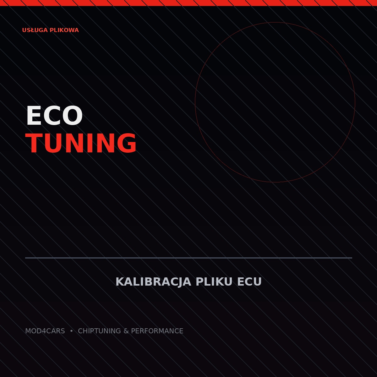 Eco tuning — obróbka pliku ECU